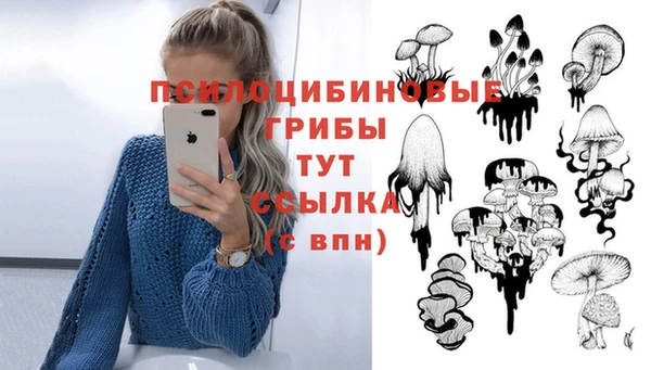 скорость Осинники