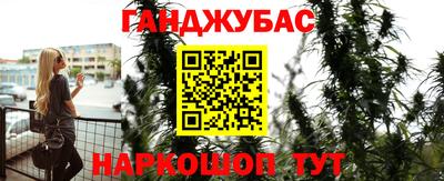 стаф Аргун