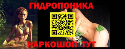 шишки Апшеронск