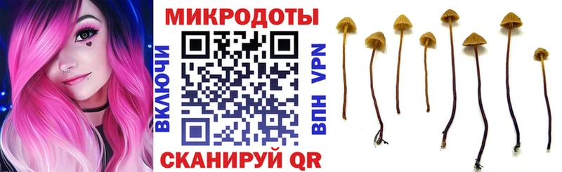 блэк спрут онион Саратов Галлюциногенные грибы Psilocybine cubensis